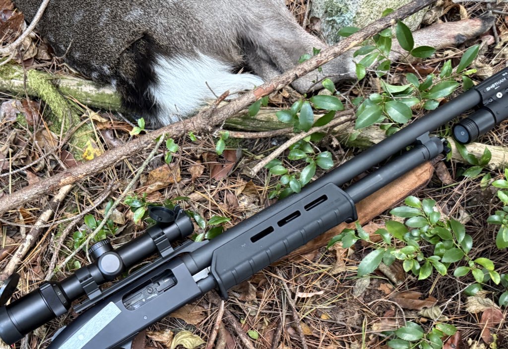 散弾銃と鹿